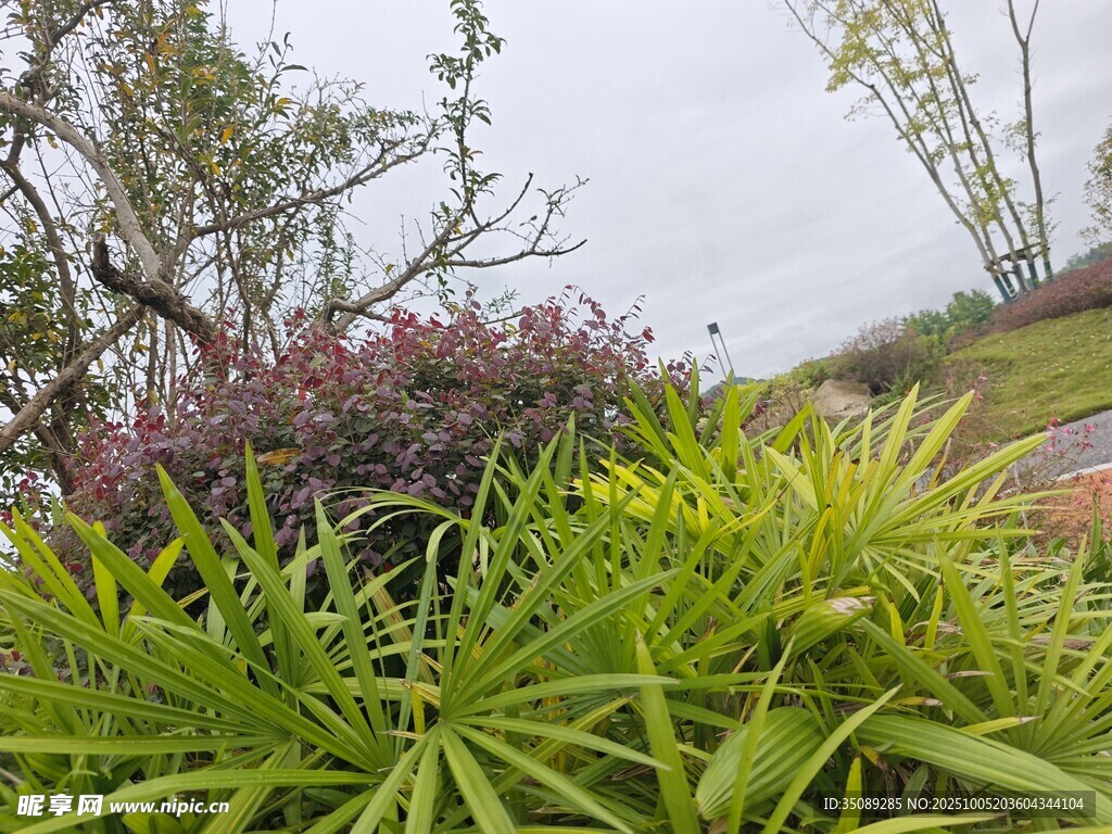 戶外綠植景觀