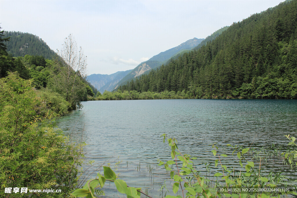 寧靜河畔山林美景