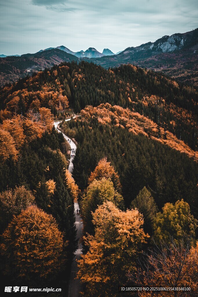 秋日山間蜿蜒公路美景