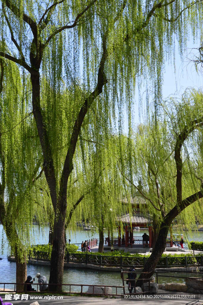 公園風(fēng)景 