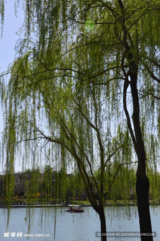 公園風(fēng)景  