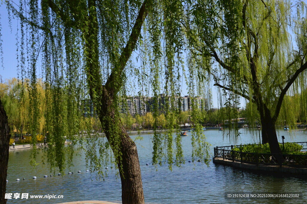 公園風(fēng)景 