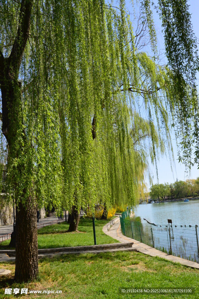 公園風(fēng)景  