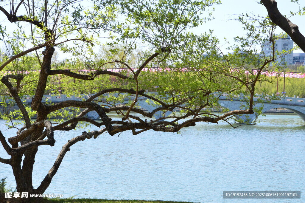 公園風(fēng)景  