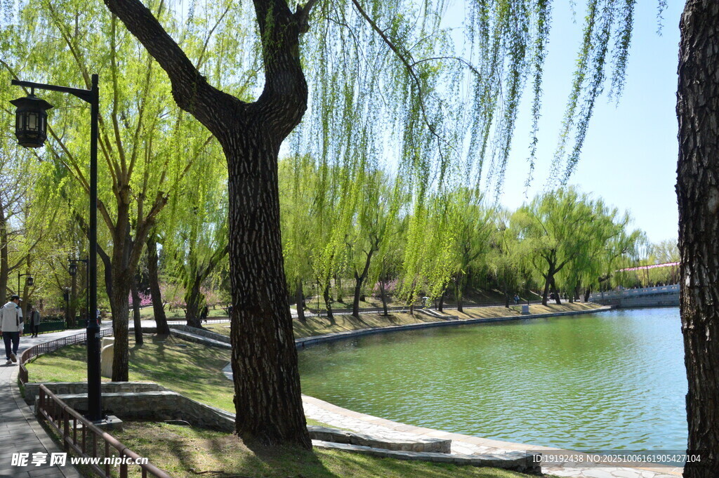 公園風(fēng)景 