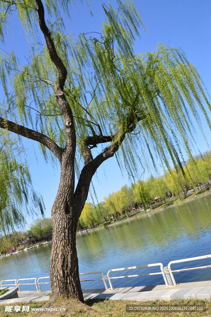 公園風(fēng)景 