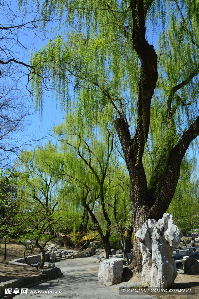 公園風(fēng)景  