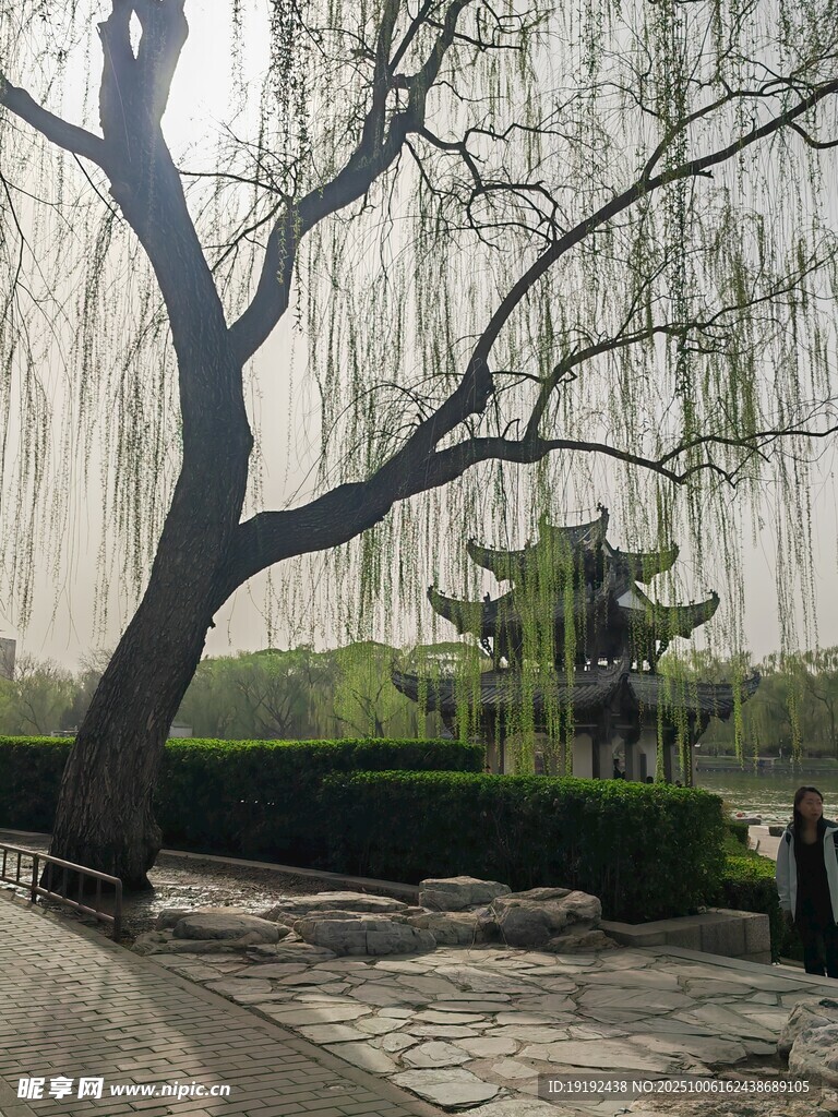 公園風(fēng)景  
