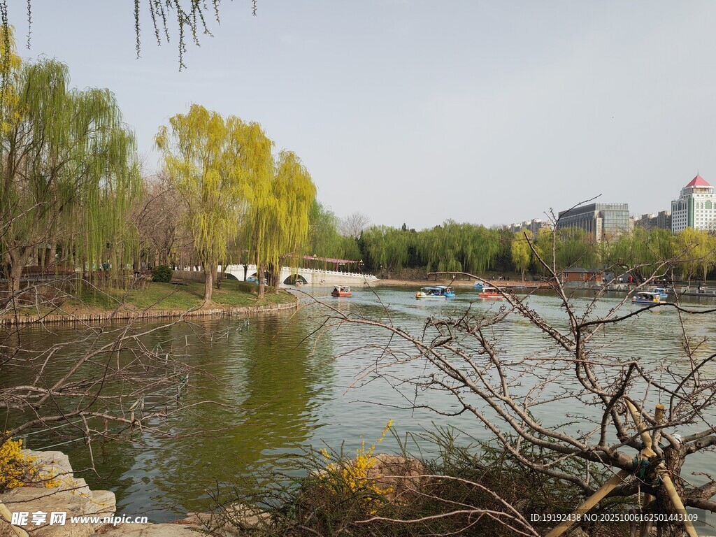 公園風景 