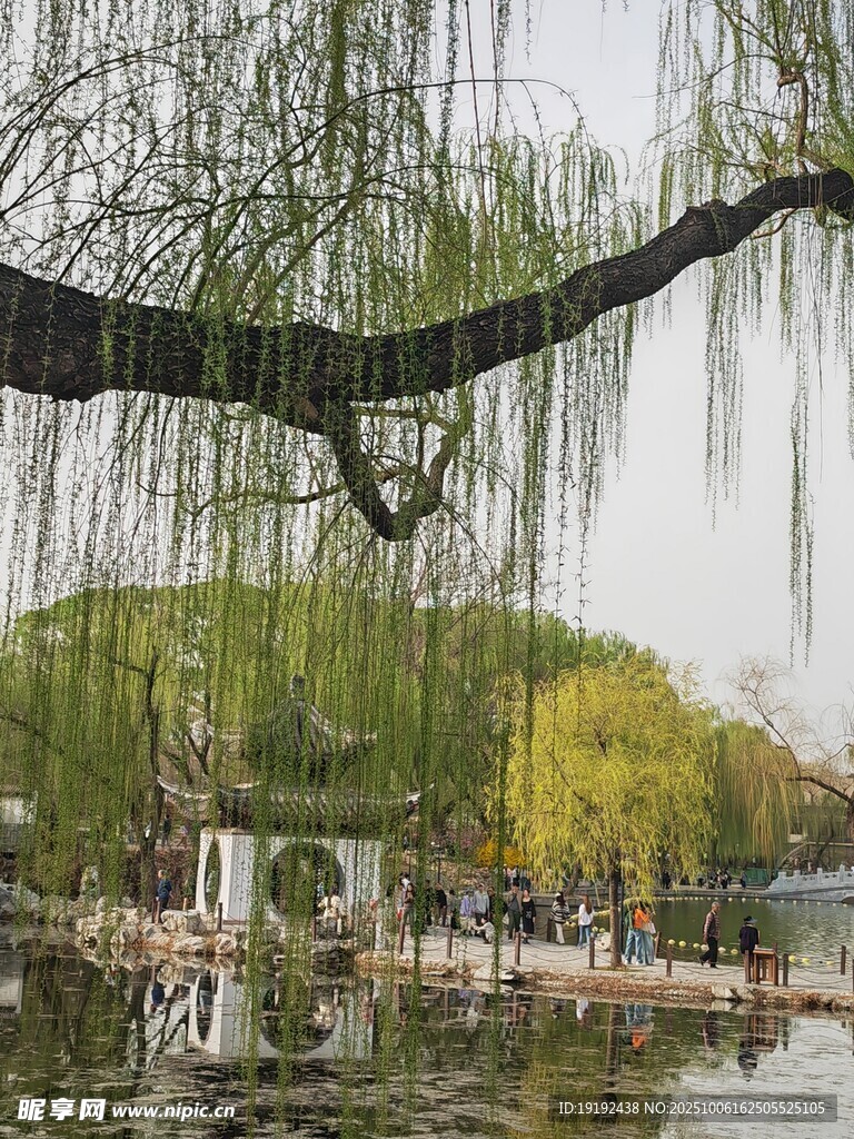 公園風(fēng)景  