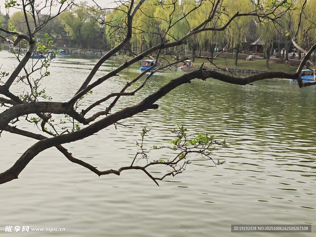 公園風(fēng)景 