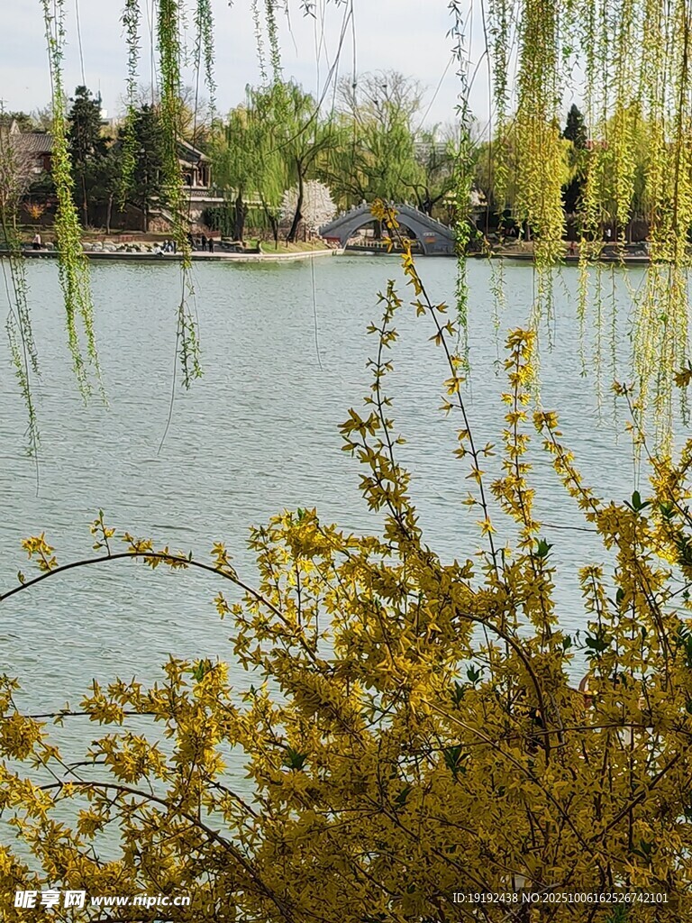 公園風(fēng)景 