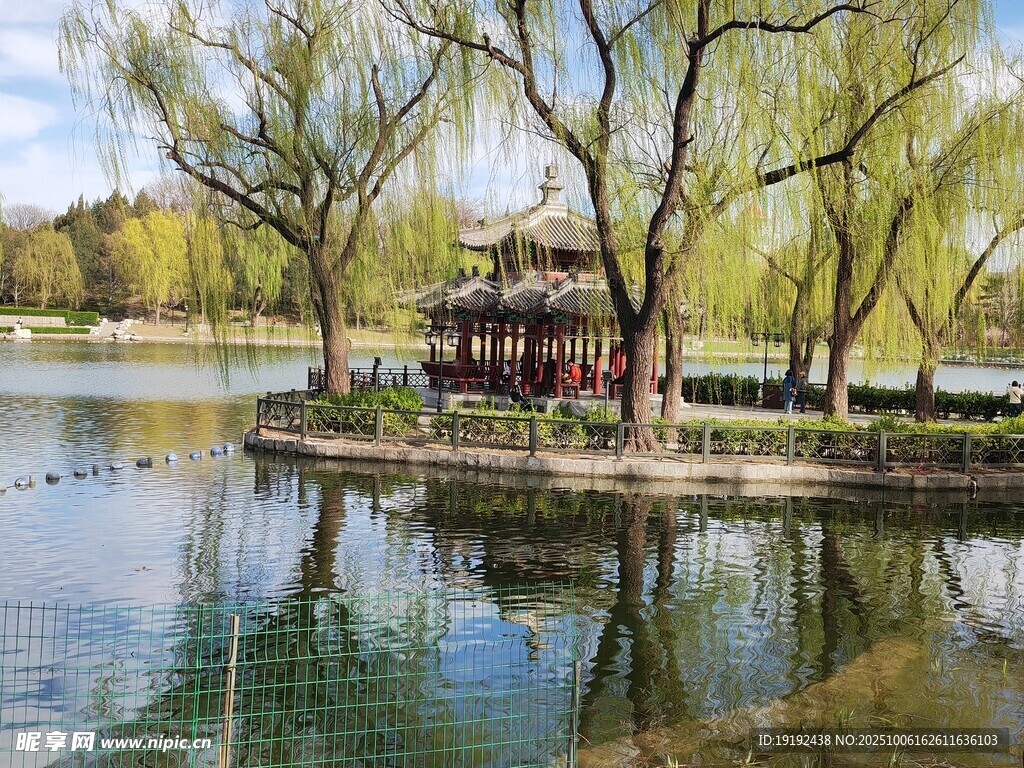 公園風(fēng)景  