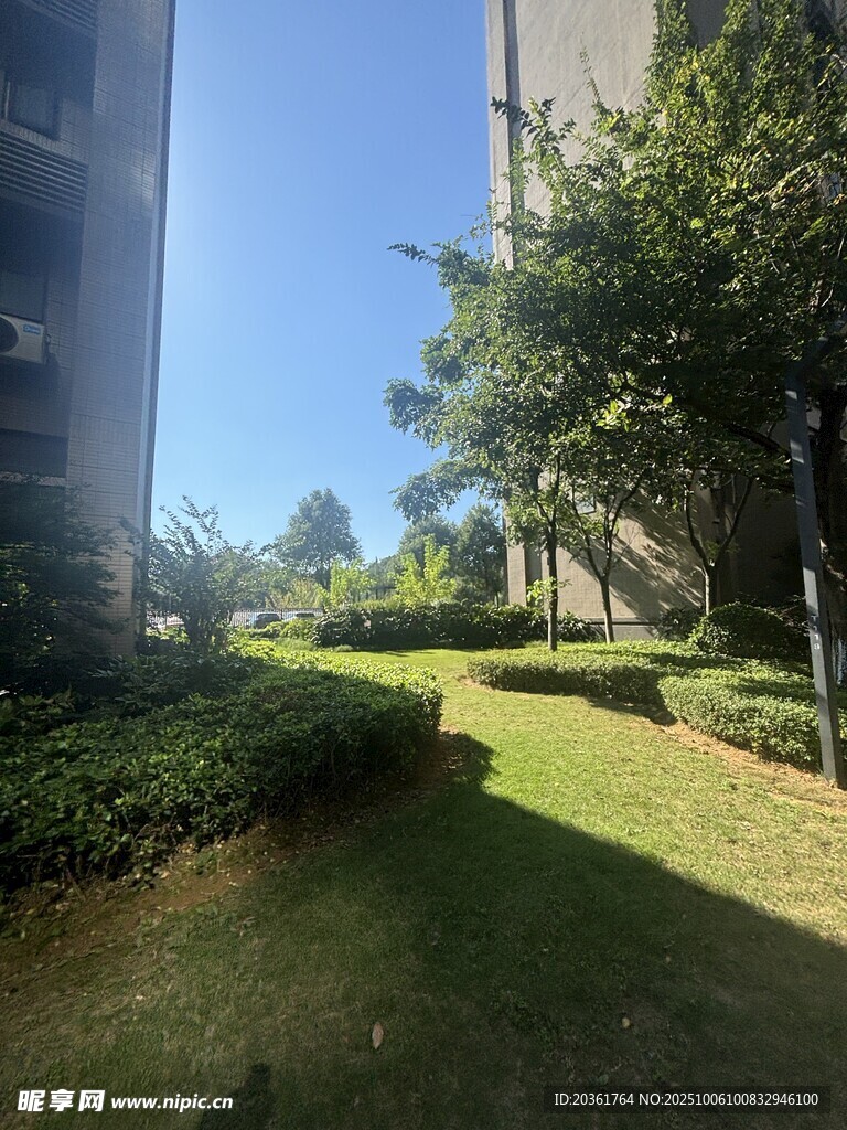 小區(qū)內(nèi)的綠化景觀