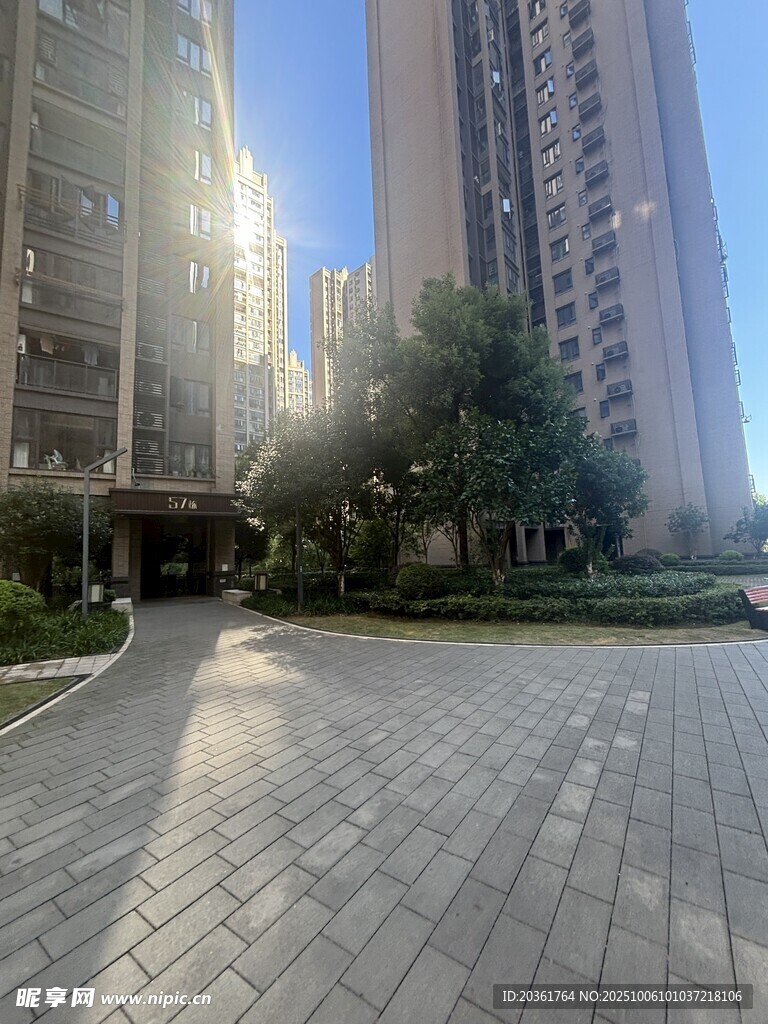 陽光照耀下的小區(qū)景觀道