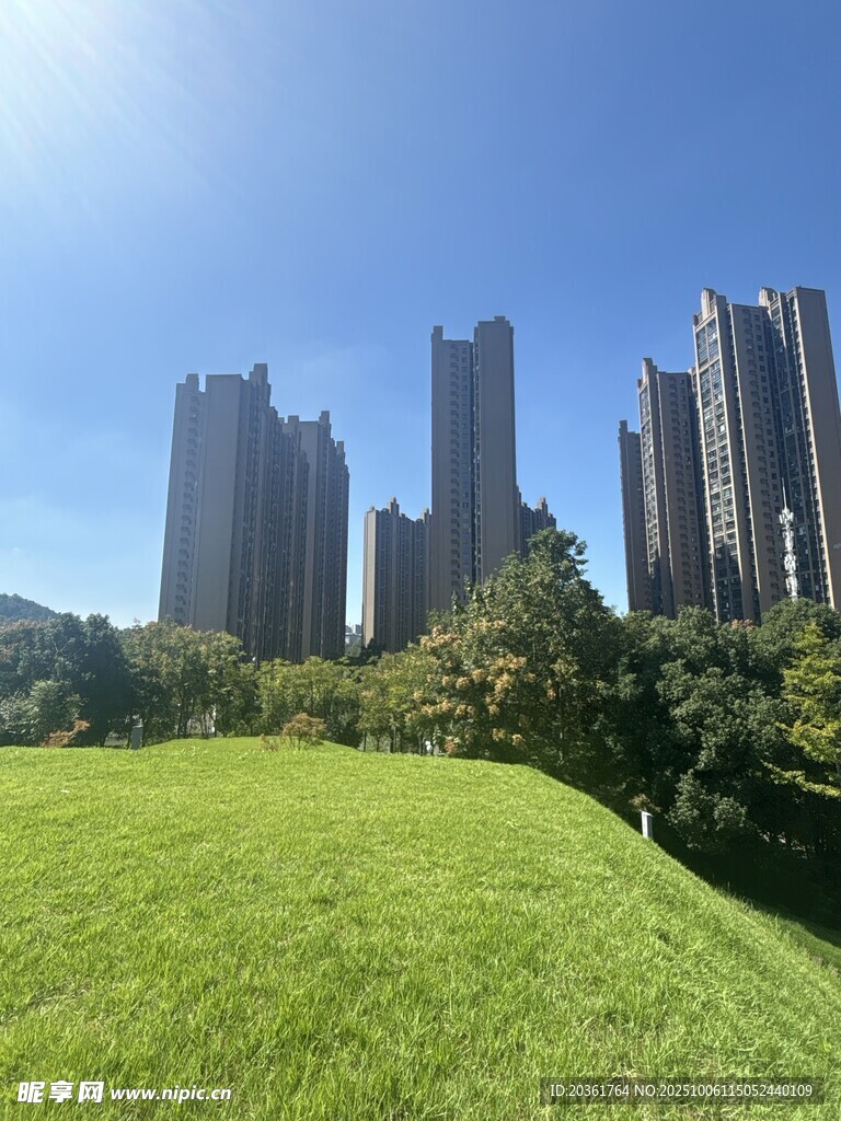 城市綠地旁的高樓景觀
