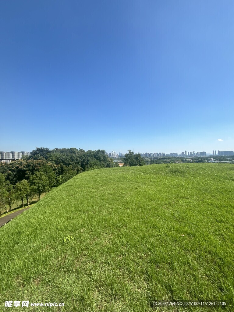廣袤綠野