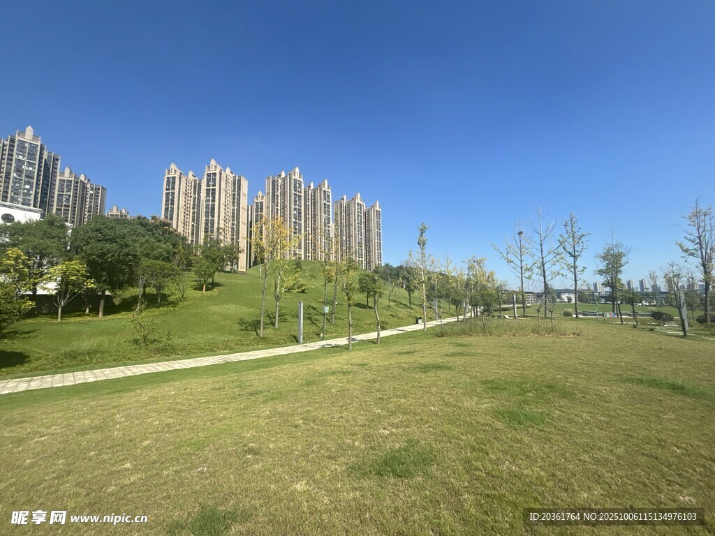 城市綠地旁的高樓景觀