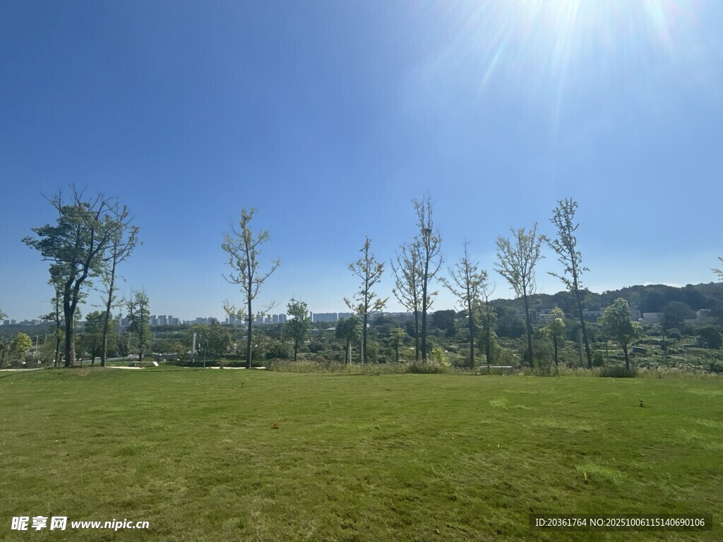 陽光照耀下的開闊綠草地