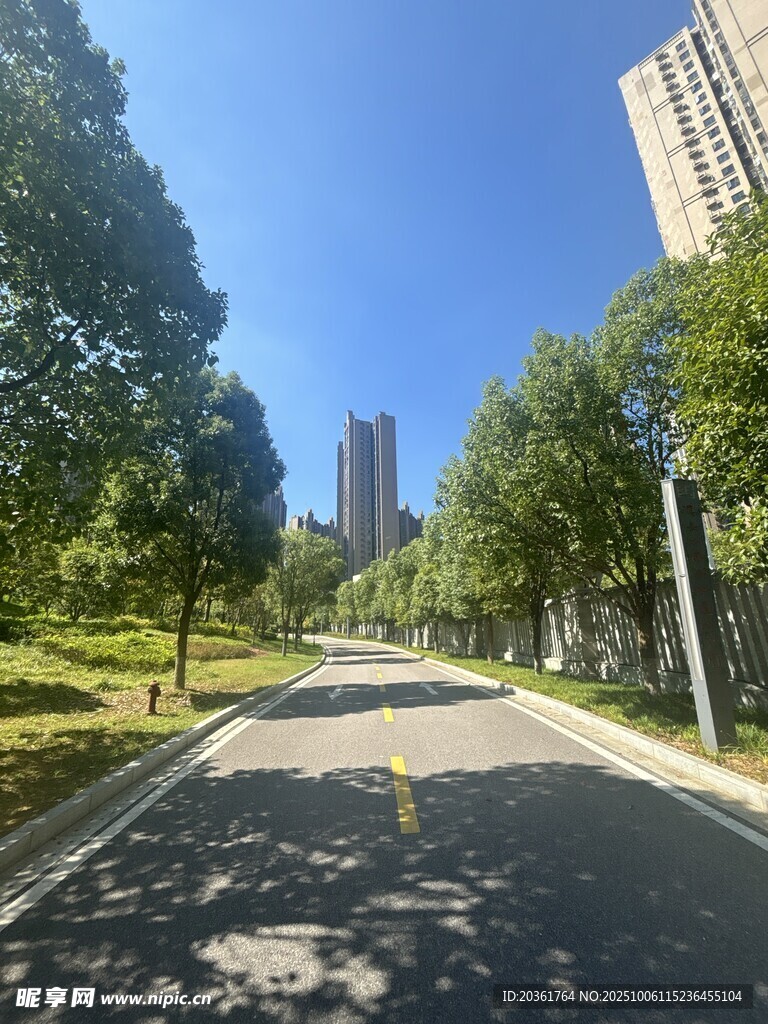 城市林蔭道路風(fēng)光
