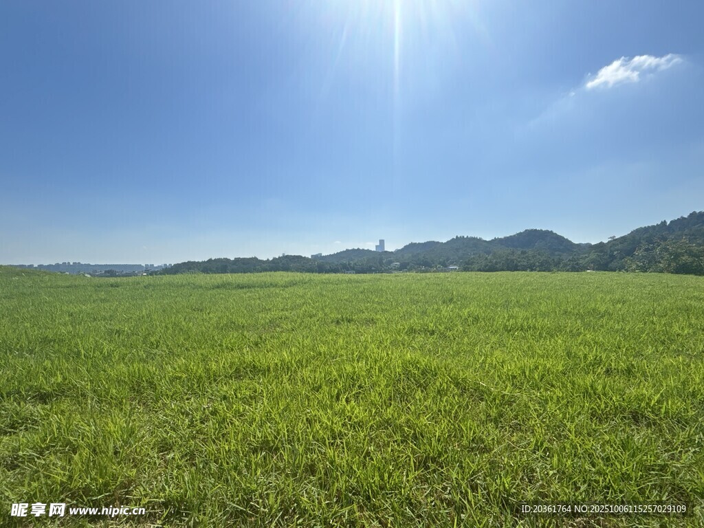 廣闊綠野