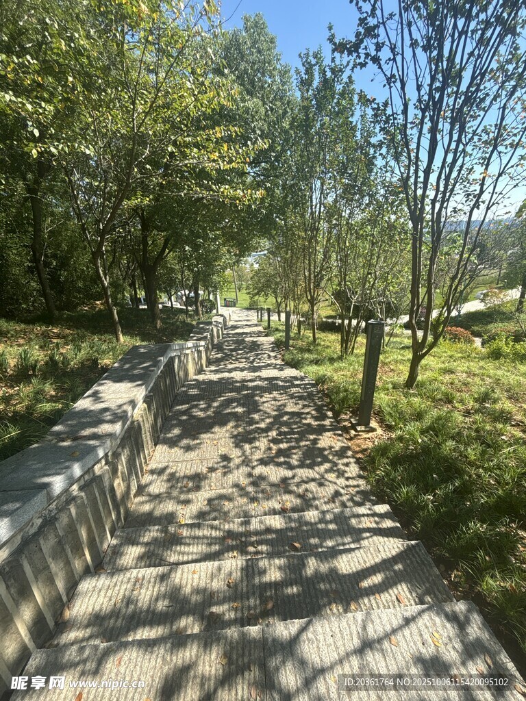 林間漫步小道