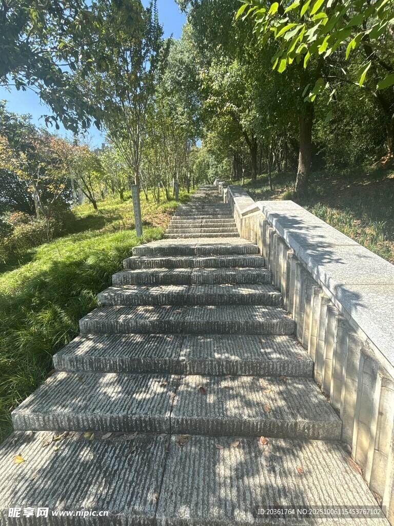 林間石階小道