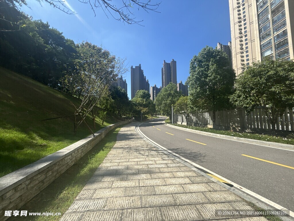 城市中寧靜的林蔭道路