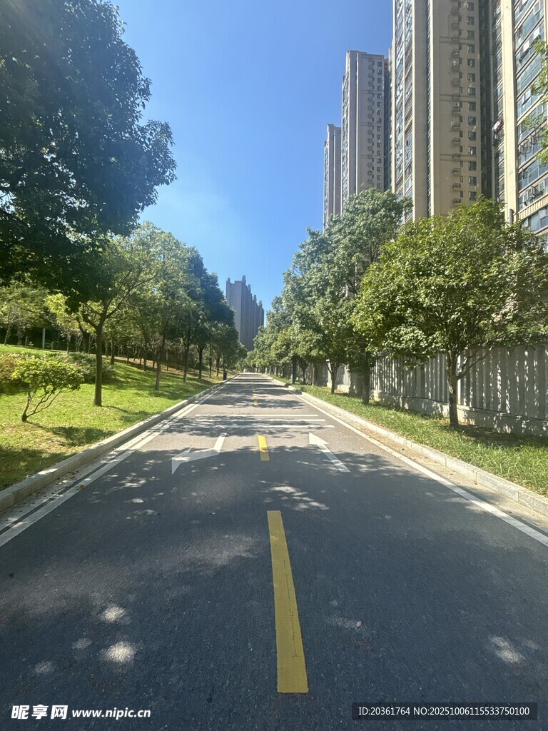 城市林蔭大道風(fēng)景