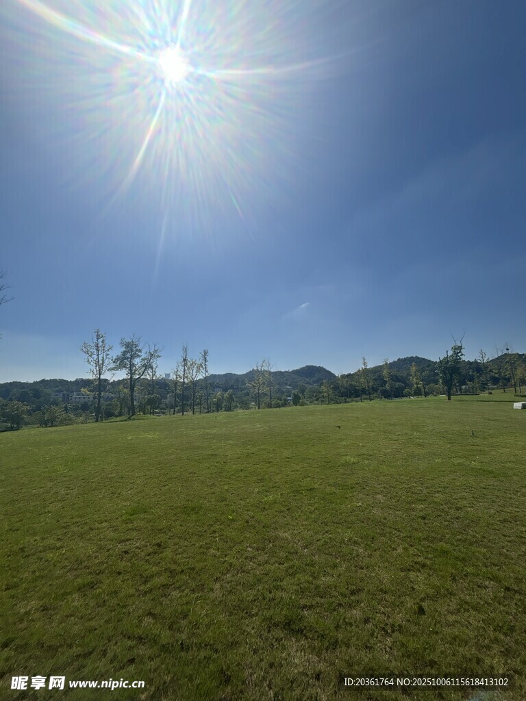 陽光照耀下的開闊綠草地