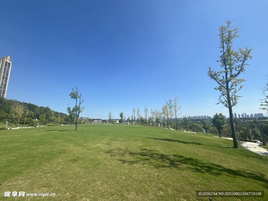 城市中的開闊綠地景觀