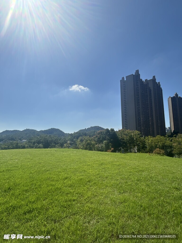 城市邊的翠綠草地與高樓