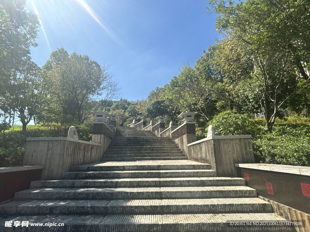 陽(yáng)光照耀下的林間石階