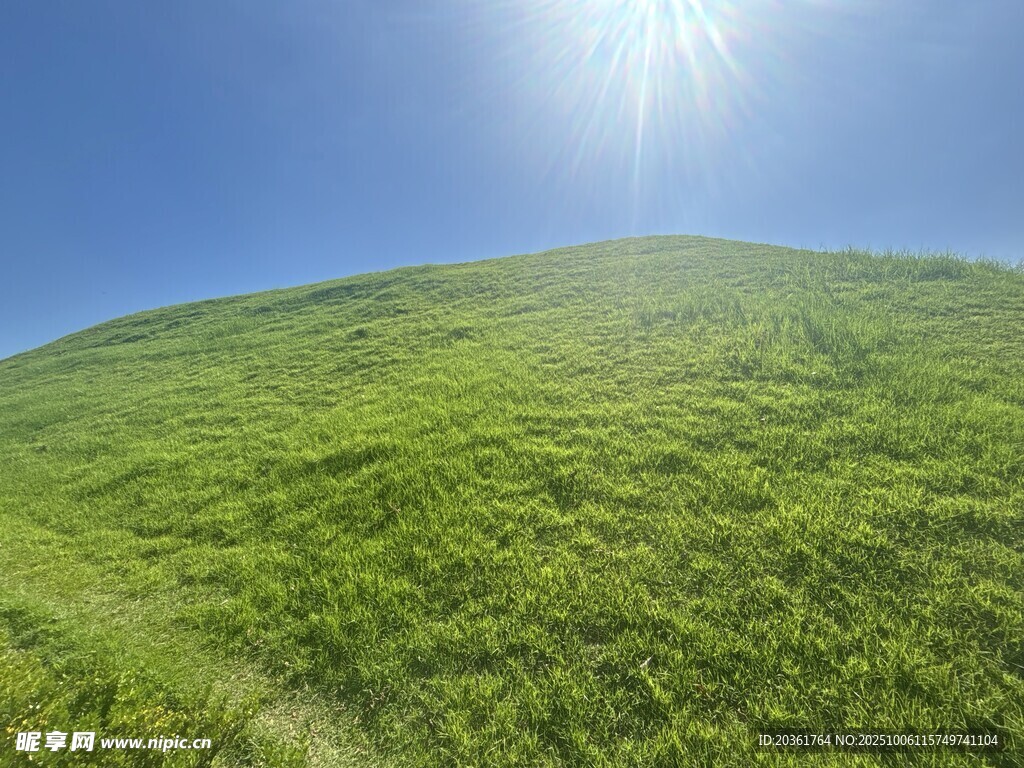 陽光照耀下的翠綠山坡
