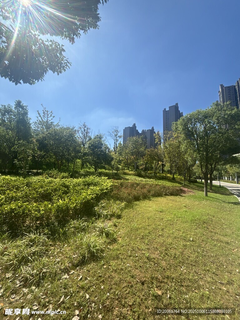 城市中的綠意盎然公園景