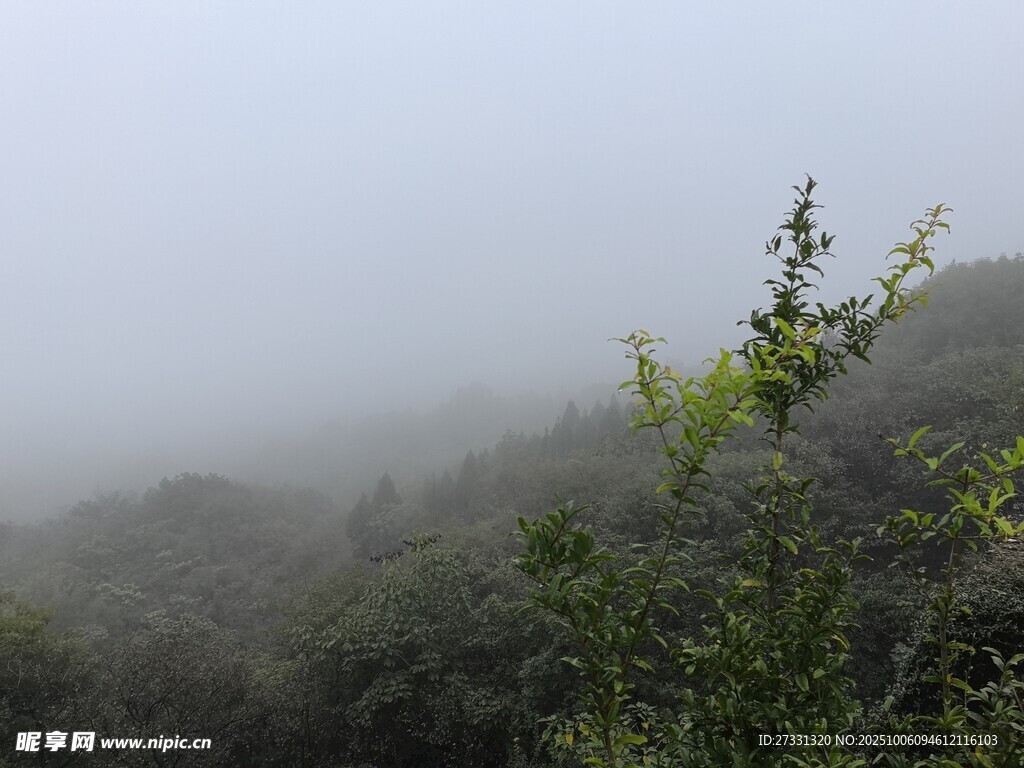 霧中朦朧山林景色