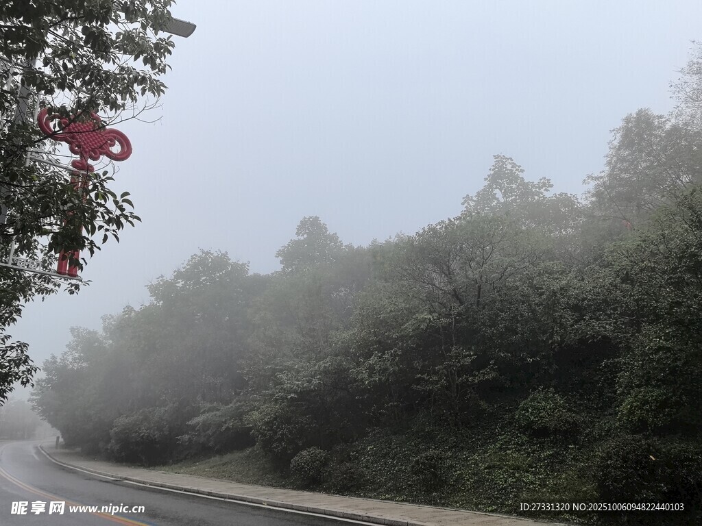 山間霧中蜿蜒公路美景