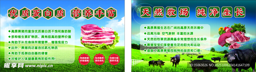 生態(tài)黑土豬