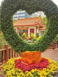 花環(huán)