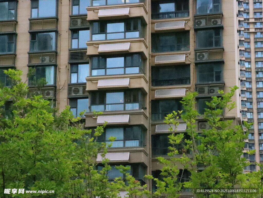 高層住宅旁的蔥郁綠植