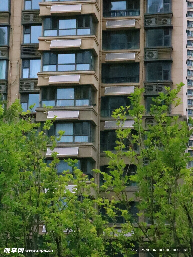 高樓間的翠綠景致