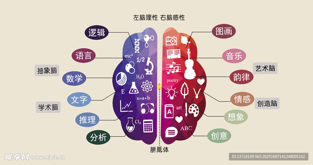 左右腦