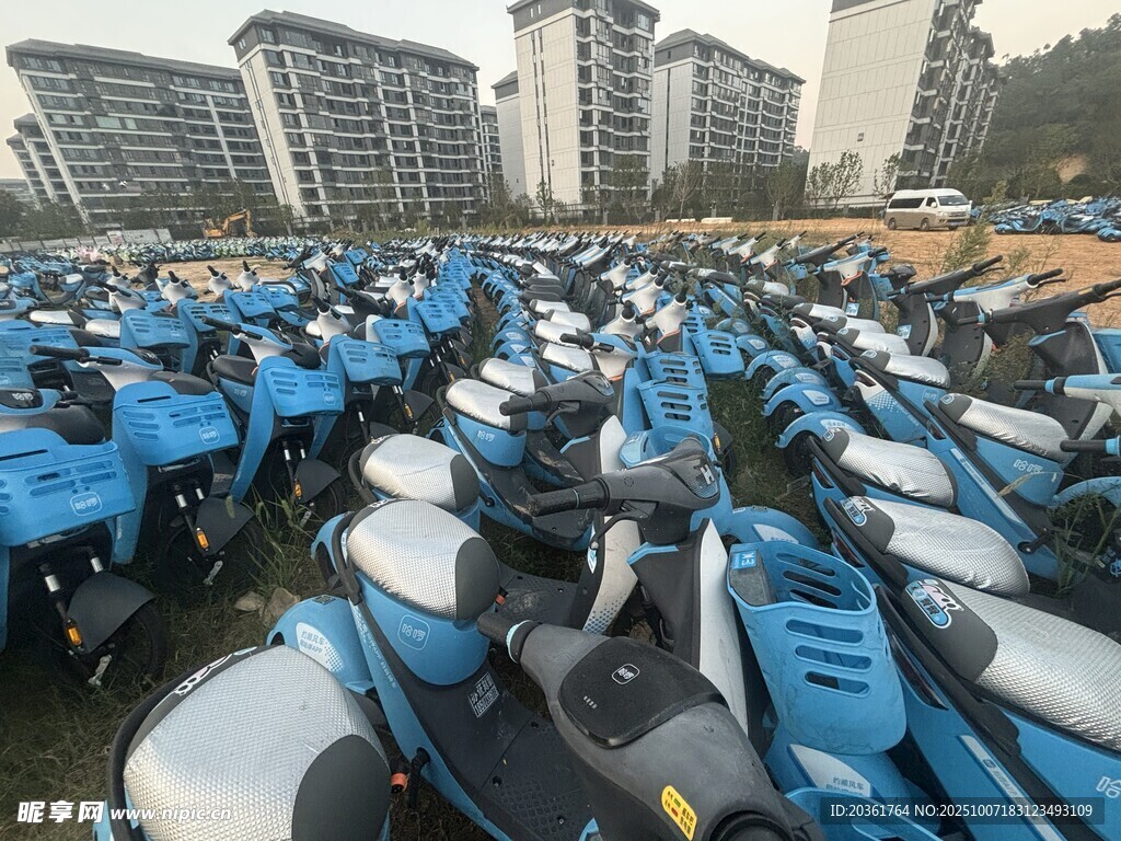 大量電動車整齊停放場景