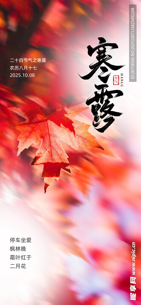 寒露節(jié)氣海報二十四節(jié)氣