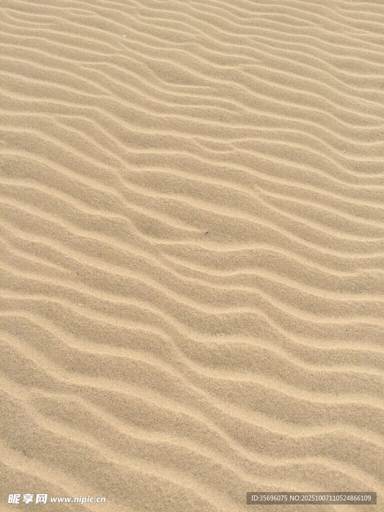 沙漠中的細(xì)膩波紋沙海