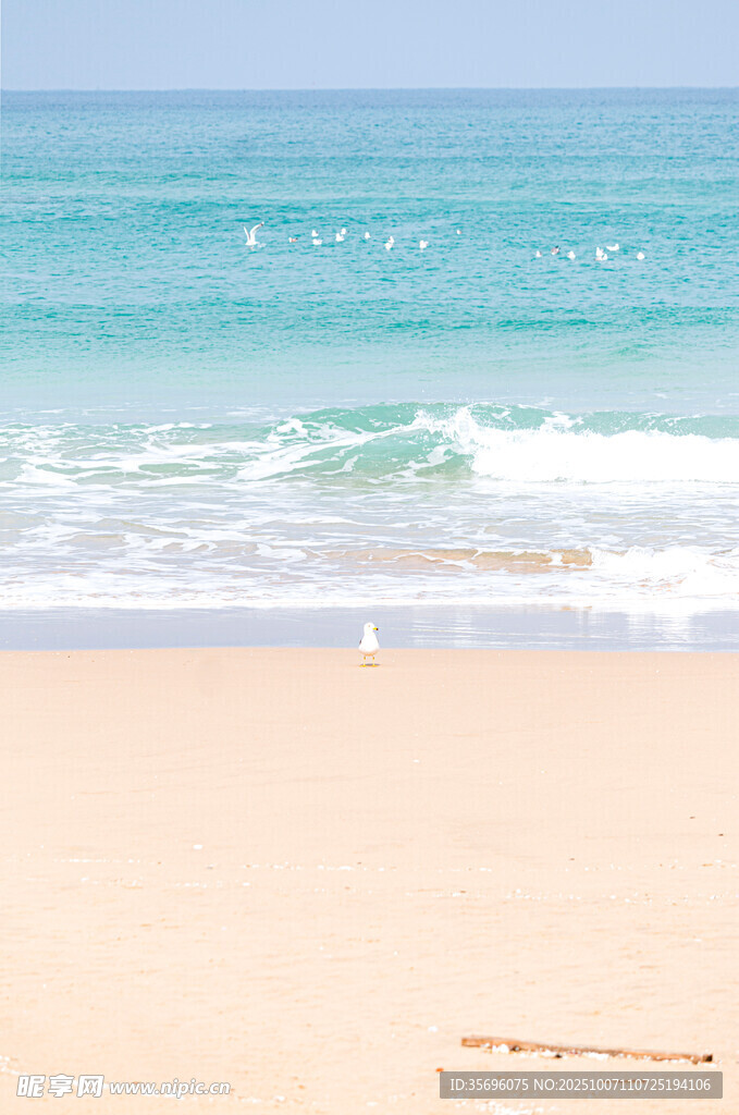 美麗海濱沙灘海浪景觀