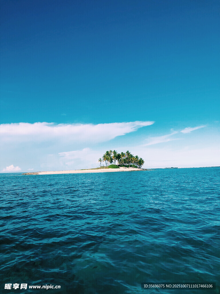 夏日海灘