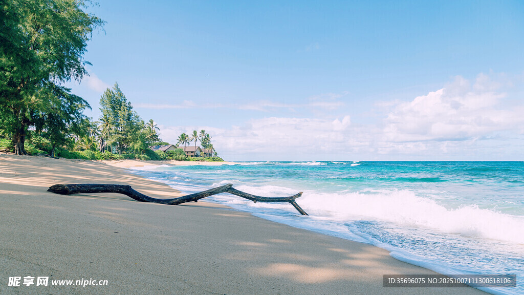 美麗海濱沙灘與海浪景觀