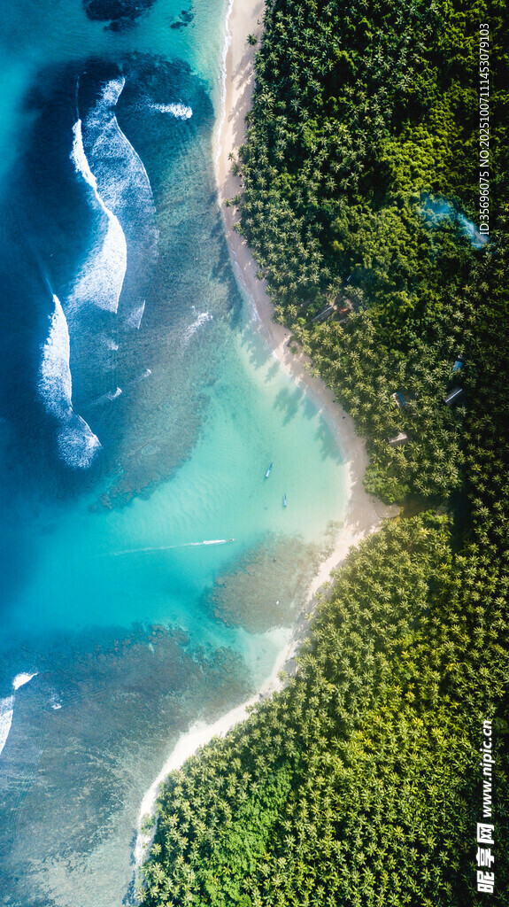 俯瞰碧海綠岸美景