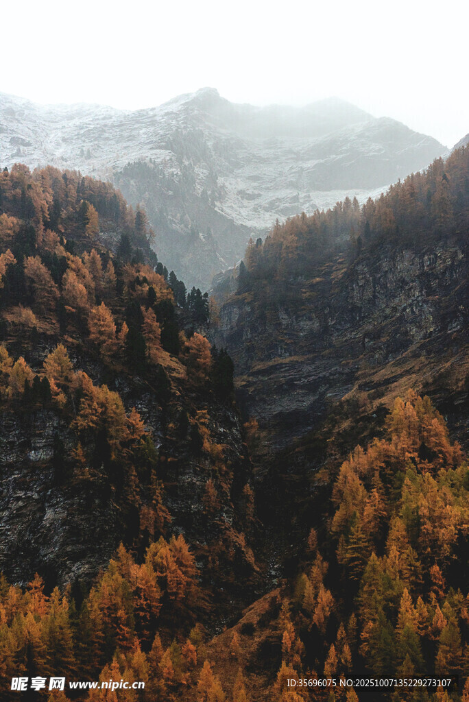 秋日山巒斑斕森林美景